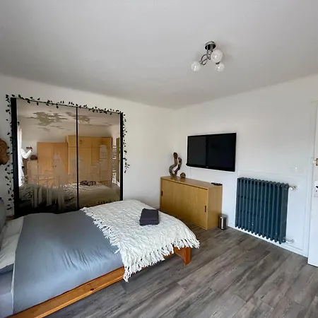 Proche Centre Et Gare- 8 Personnes Кольмар